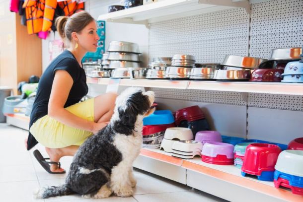 decoração_de_pet_shop