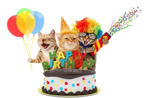 aniversario-pet
