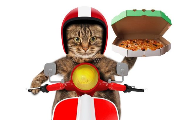 servico-movel-para-pet