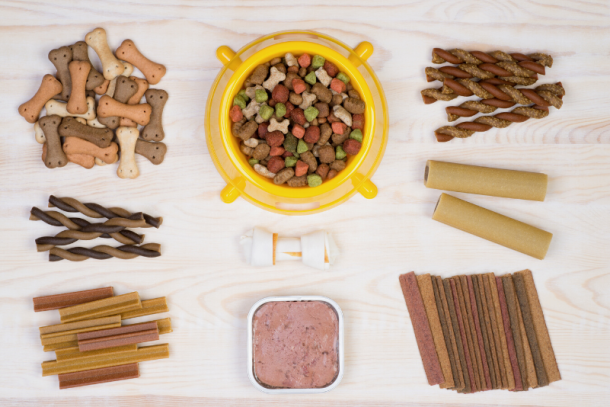alimentacao_natural_para_pets