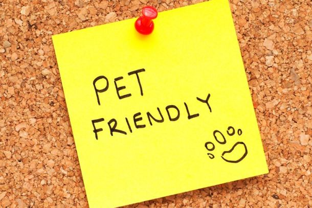 pet-friendly-no-estabelecimento