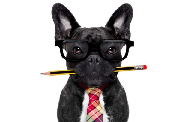 planejamento_financeiro_pet_shop