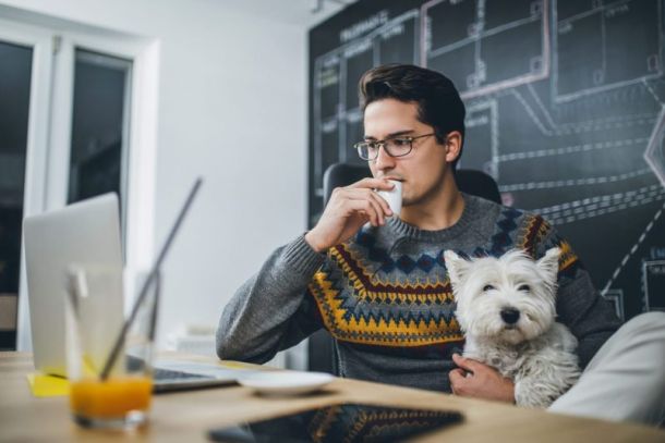 planejamento-estrategico-petshop